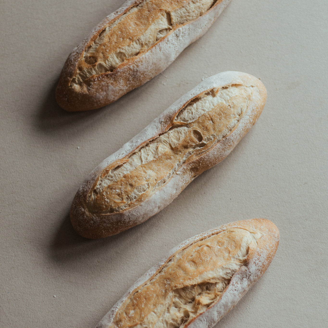 Ciabatta Erlebe Brot